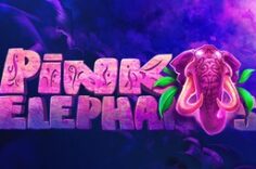 Играть в Pink Elephant