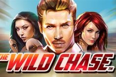 Играть в Tthe Wild Chase